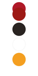 Community Housing Cymru brand colour swatches