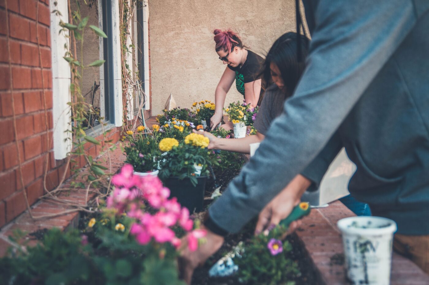 People planting flowers at a community garden.
