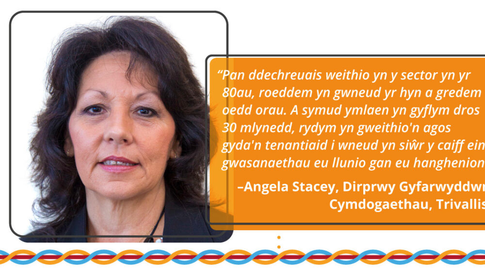 Y sector tai ddoe a heddiw