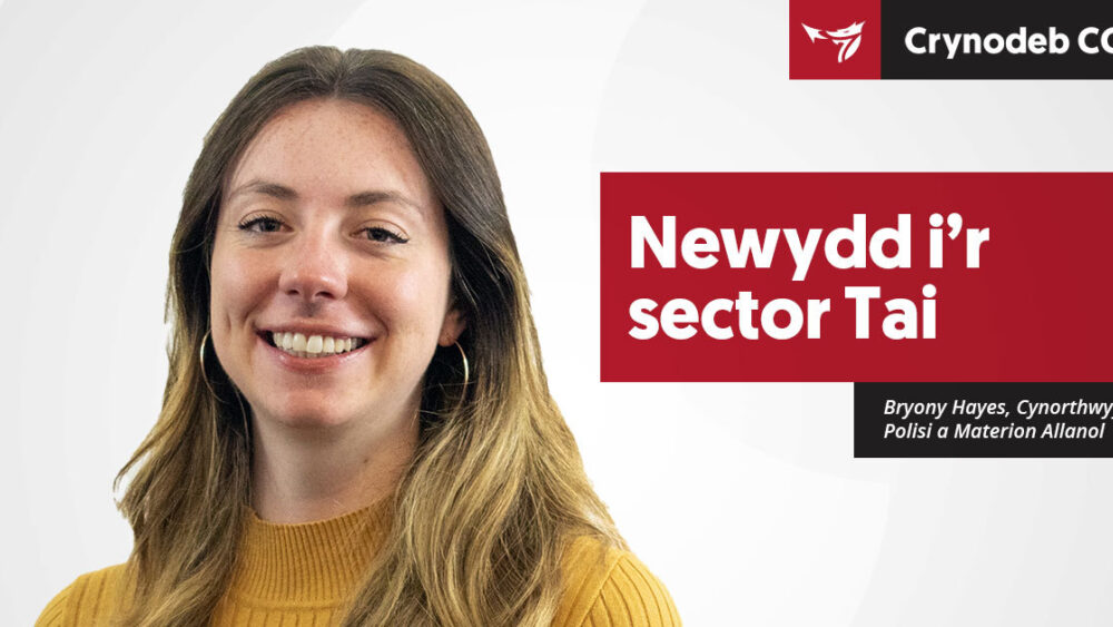 Newydd i'r sector tai