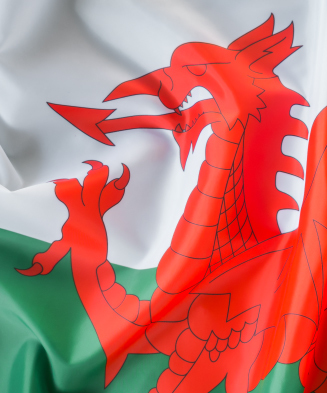 Pic of the Welsh Flag